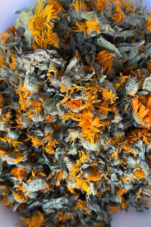 Close-up of dried calendula flowers with orange petals and green leaves.