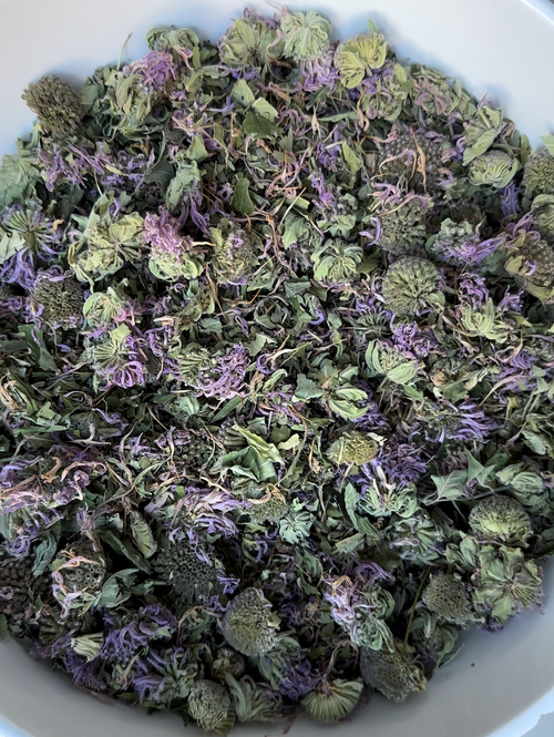 Bergamot, Indiana Grown Organic