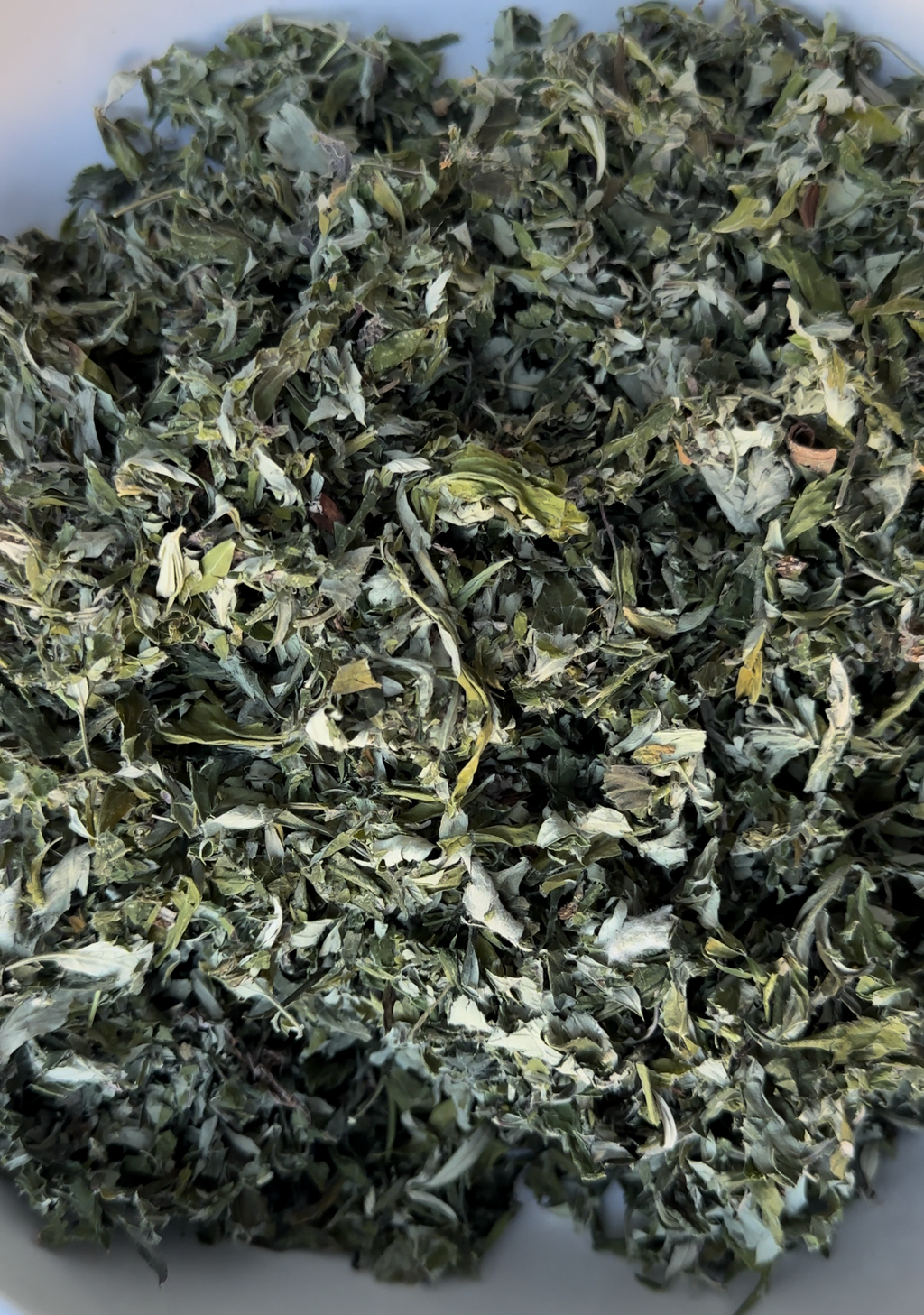 Mugwort, Indiana Grown Organic