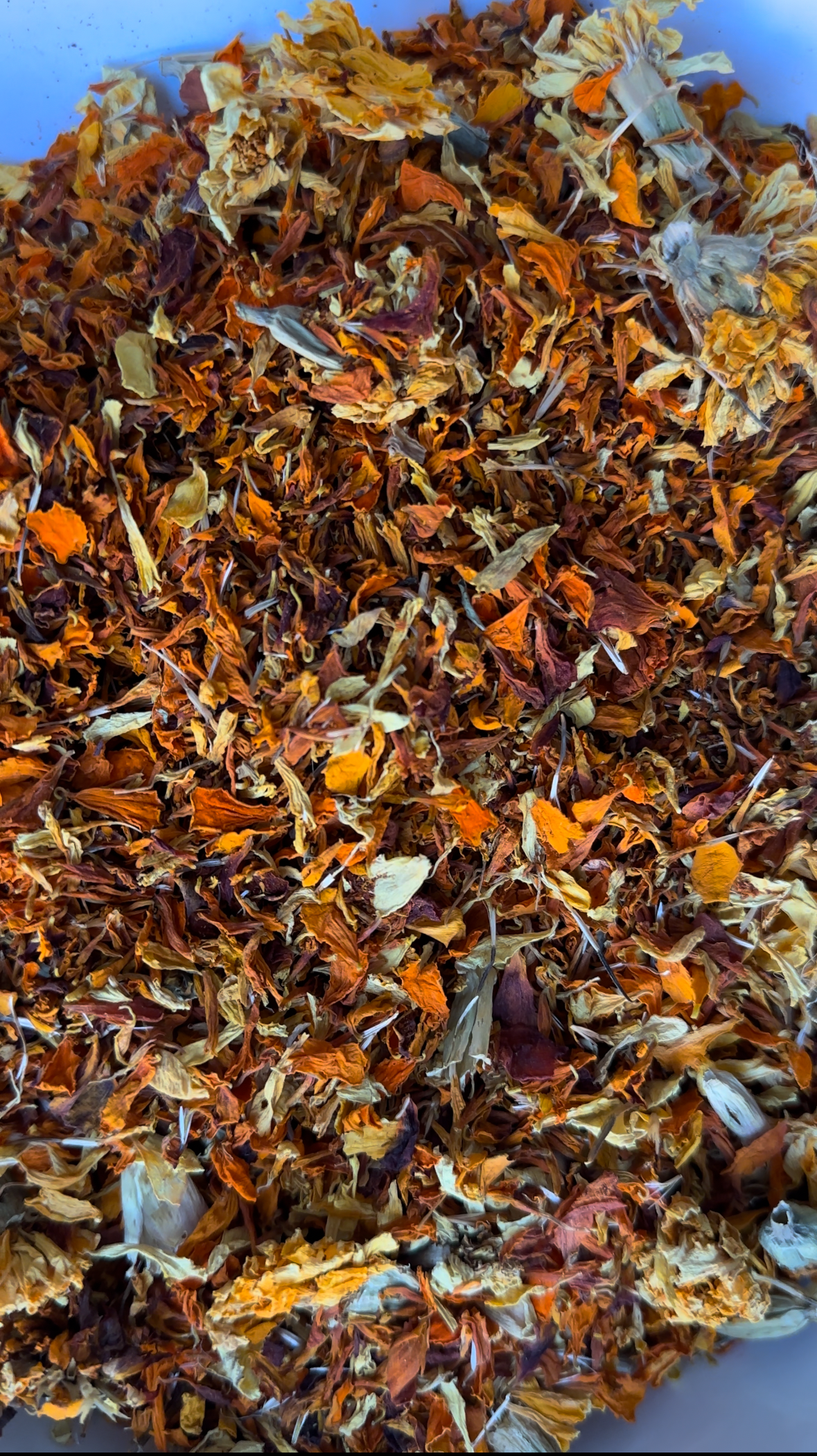 Marigold, Indiana Grown Organic