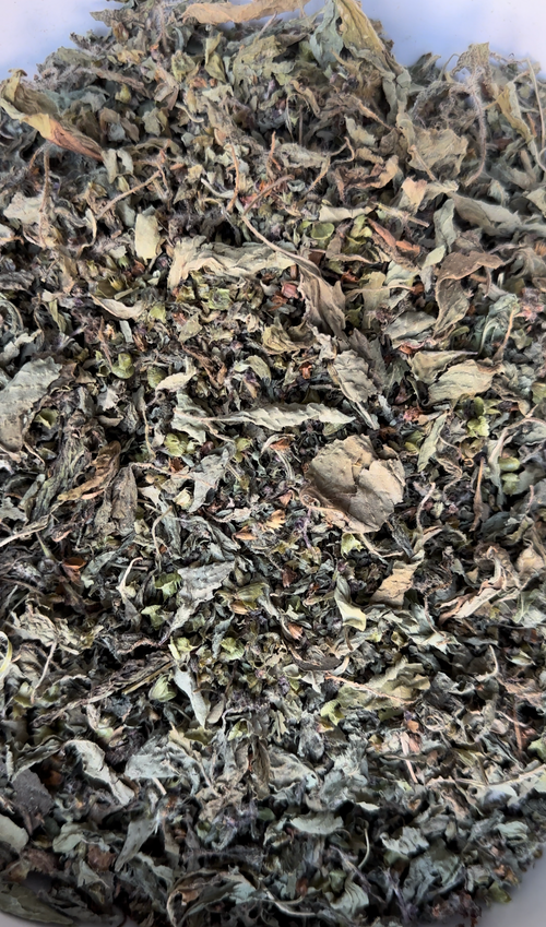 Holy Basil (Tulsi), Indiana Grown Organic