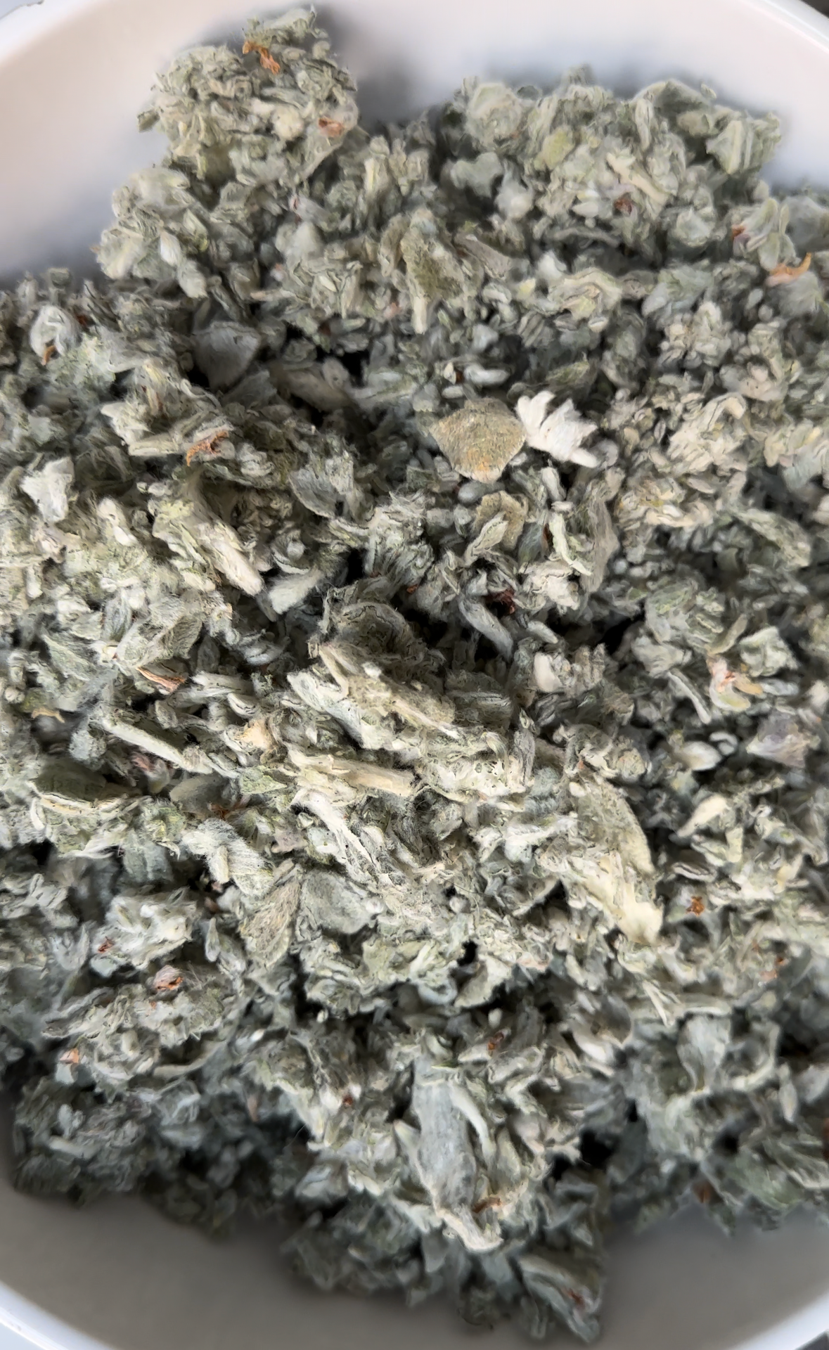Lamb's Ear, Indiana Grown Organic