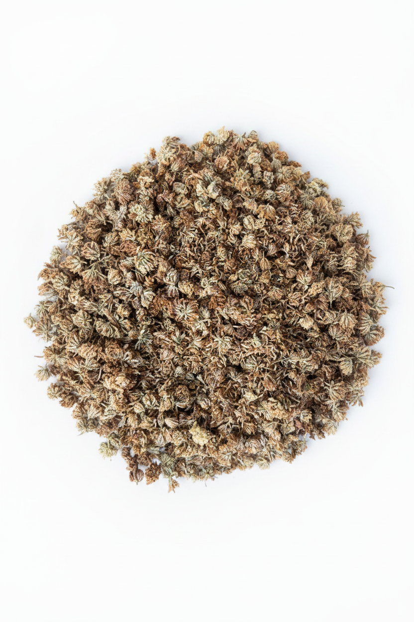 White Clover, Indiana Grown Organic