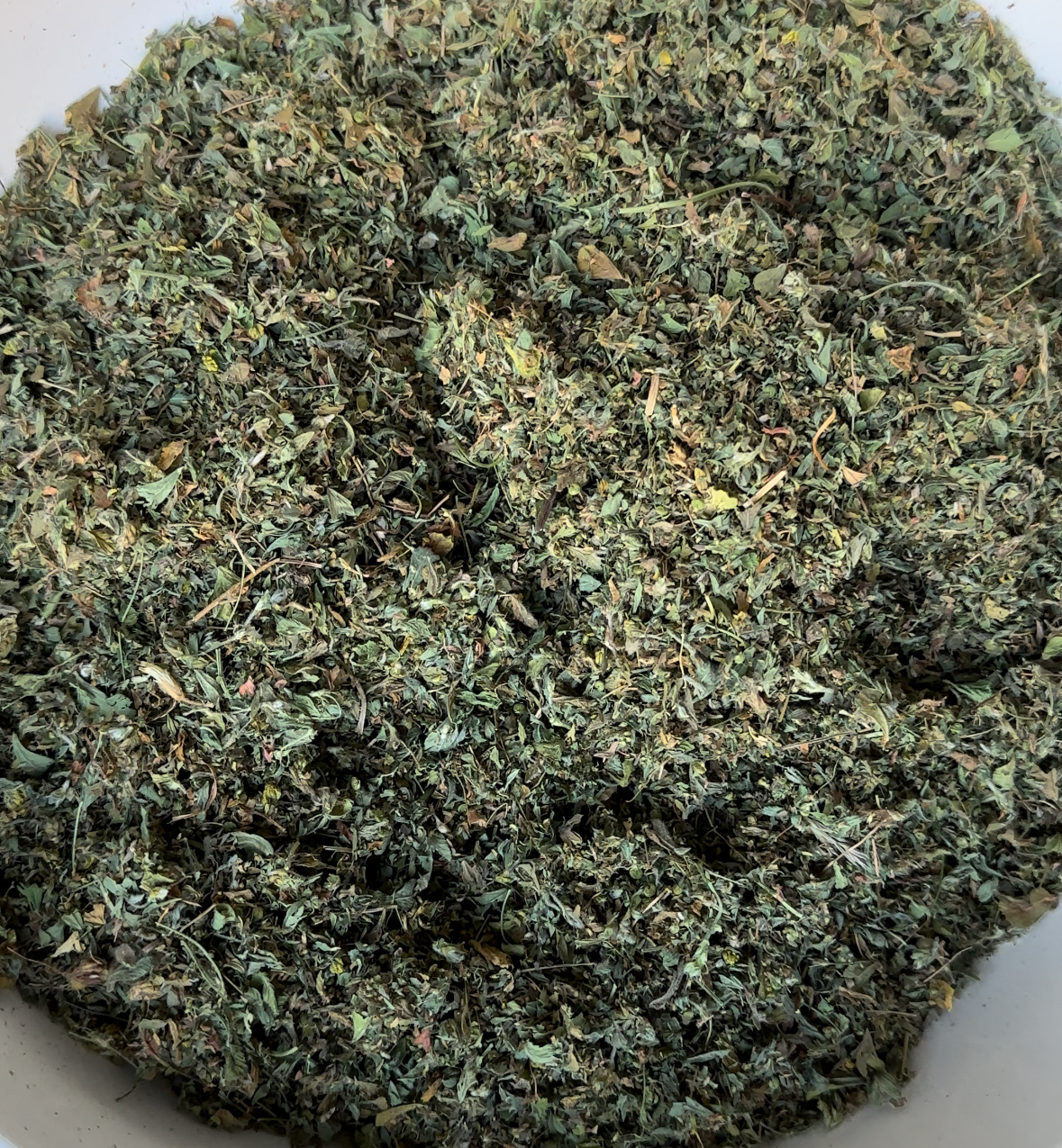 Black Medic, Indiana Grown Organic