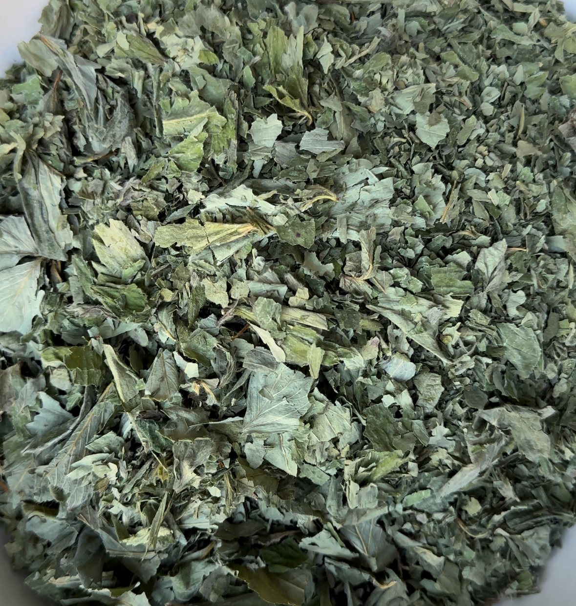 Strawberry Leaf, Indiana Grown Organic